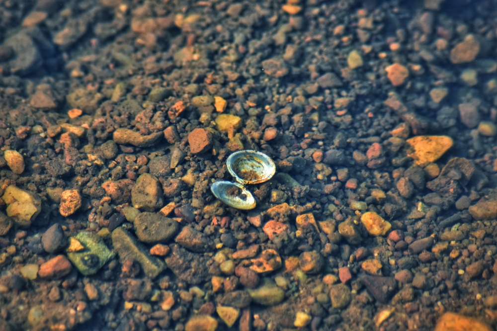 Stone, #nature #wallpaper #HD #stock #landscapes# stone#reflection#wild #forest #nationalpark, 