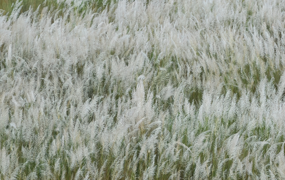 wind, power supply, Hand, wool, dialy life, city escapes, morning diaries, winter morning, city of joy, moment, place, nature ,landscape, background, sun rays, hd clicks ,nikon gear, lake, reflection, photos, 