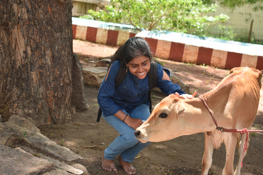 Love and care,  Love and care, emotion, natural, natural, 