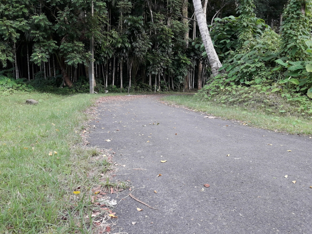 WAY THROUGH A VILLAGE , Excellent view of the road 