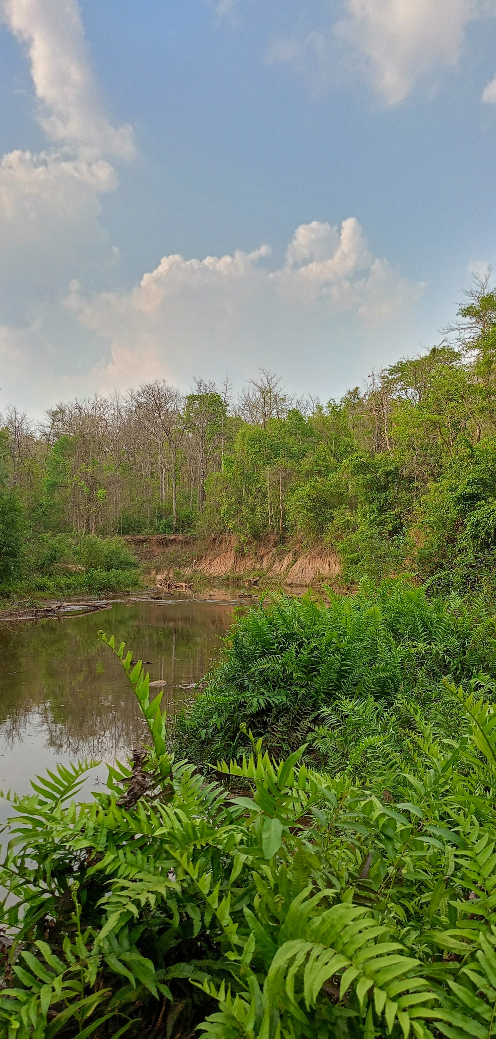 Greenery of kanger River , #nature #photography #love #instagood #photooftheday #travel #sky #beautiful #art #naturephotography #like #landscape #sunset #photo #picoftheday #instagram #sun #beach #life #winter #sea #fun #cute #clouds #happy #naturelovers #summer #bhfyp, nature landscape background hdclicks fishing wallpaper people stock Fisherman photos photooftheday Bastar kangervalleynationalpark kvnp nationalpark naturephotography Munnabaghel_photography, summer tirathgarh waterfall waterfalls indianwaterfall  nationalpark kangervalleynationalpark Raipur CG forest HD wallpaper view kangervalley tirathgarh waterfall waterfalls jungle Bastar Chhattisgarh photosoftheday photo gallery wallpaper view kangervalley instapicture instagood viralpic, Photography forest kvnp nationalPark bastar munnabaghelphotography  kangervalleynationalpark amarbastar gochhatishgarh cg water green stone travel naturelover, 