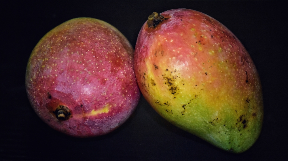 Mango, MANGO, summer food, Fruit, Fresh, 