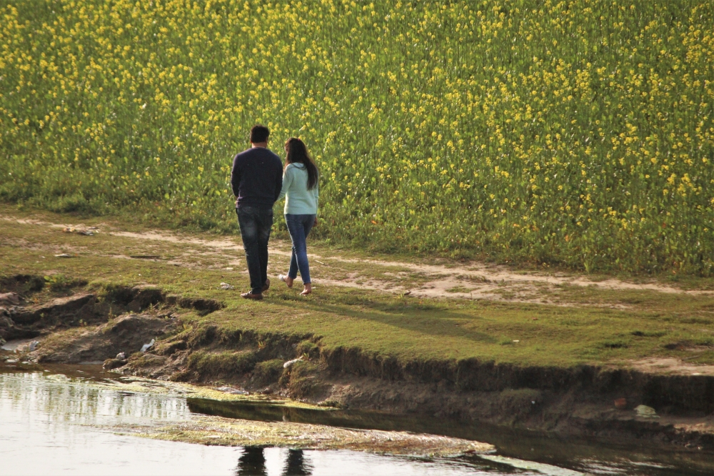 walking together on riverside, river,green, water, couple, mustard field