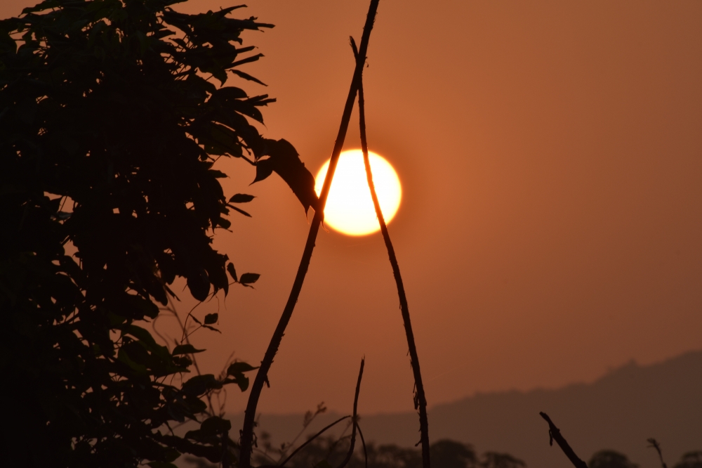 Morning Vibes, rising sun, sun, golden light, morning, beautiful,photography,yellow,