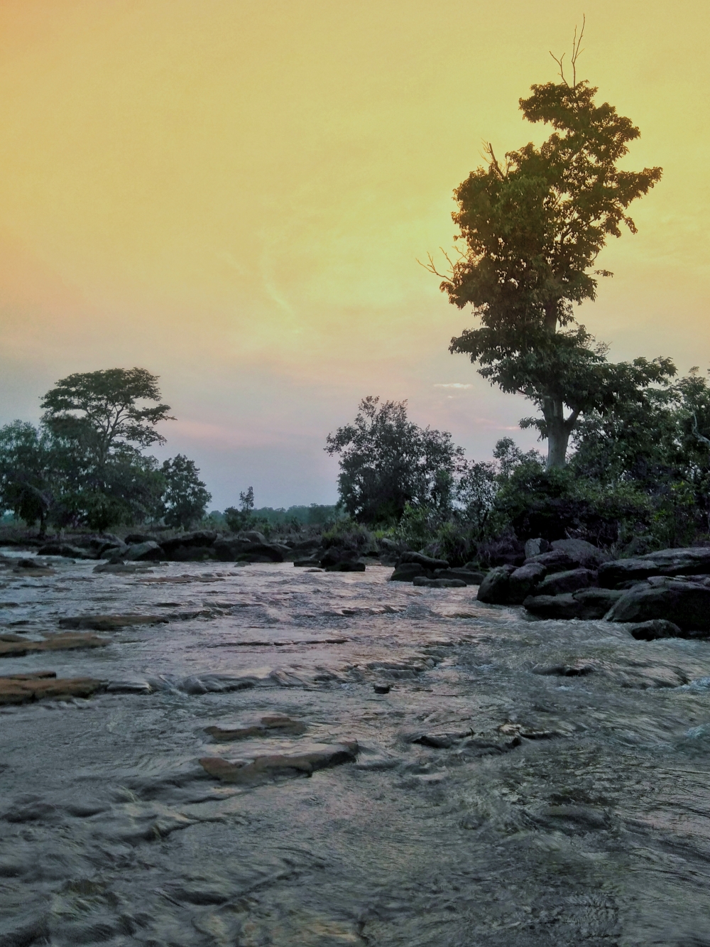 Rivar, #Rivar#nature