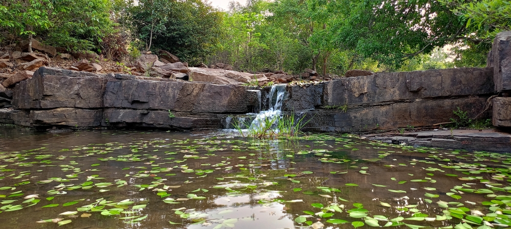 Mini waterfall 2, nature landscape background sunrays hdclicks nikongair lake reflection photos Bastar chhatishgarh sky clouds photooftheday naturephotography, morningrays nature forest jungle munnabaghelphotography kvnp nationalpark bastar kangervalleynationalpark jagdalpur explore landscape gochhatishgarh bastarpicture photooftheday tree green wild Hill, summer tirathgarh waterfall waterfalls indianwaterfall  nationalpark kangervalleynationalpark Raipur CG forest HD wallpaper view kangervalley tirathgarh waterfall waterfalls jungle Bastar Chhattisgarh photosoftheday photo gallery wallpaper view kangervalley instapicture instagood viralpic, #nature #photography #love #instagood #photooftheday #travel #sky #beautiful #art #naturephotography #like #landscape #sunset #photo #picoftheday #instagram #sun #beach #life #winter #sea #fun #cute #clouds #happy #naturelovers #summer #bhfyp, 