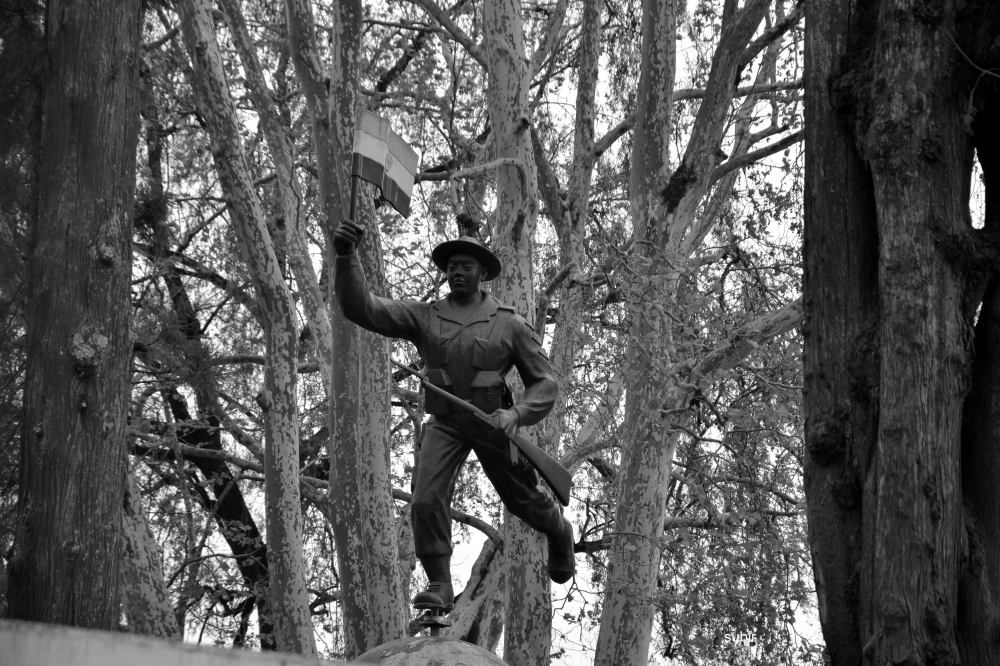 bravery, #statue#darjeeling