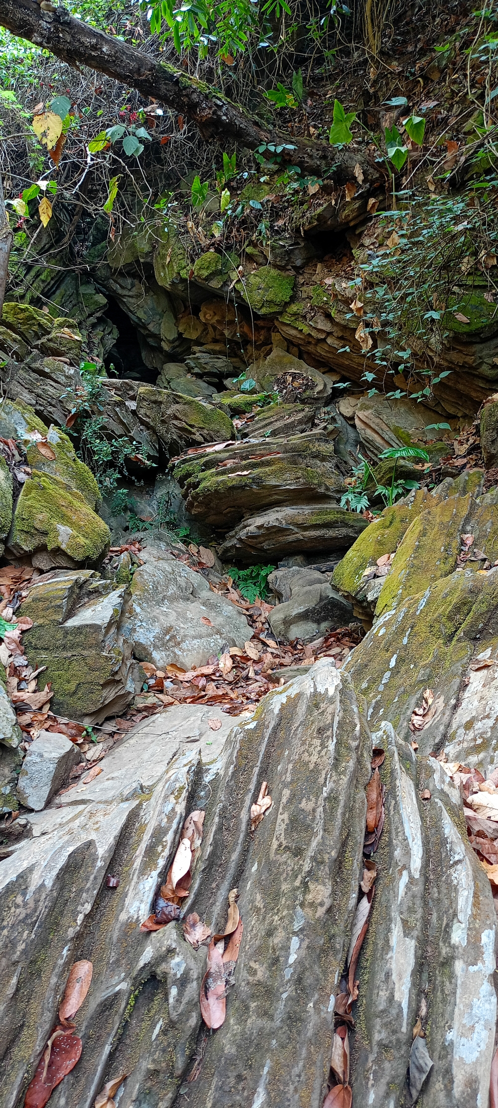 Rock , nature landscape background sunrays hdclicks nikongair lake reflection photos Bastar chhatishgarh sky clouds photooftheday naturephotography, morningrays nature forest jungle munnabaghelphotography kvnp nationalpark bastar kangervalleynationalpark jagdalpur explore landscape gochhatishgarh bastarpicture photooftheday tree green wild Hill, summer tirathgarh waterfall waterfalls indianwaterfall  nationalpark kangervalleynationalpark Raipur CG forest HD wallpaper view kangervalley tirathgarh waterfall waterfalls jungle Bastar Chhattisgarh photosoftheday photo gallery wallpaper view kangervalley instapicture instagood viralpic, #nature #photography #love #instagood #photooftheday #travel #sky #beautiful #art #naturephotography #like #landscape #sunset #photo #picoftheday #instagram #sun #beach #life #winter #sea #fun #cute #clouds #happy #naturelovers #summer #bhfyp, 