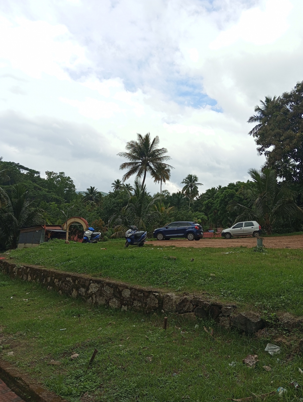 Green Land, green grass, Tree, Rainy day, Devotional, 
