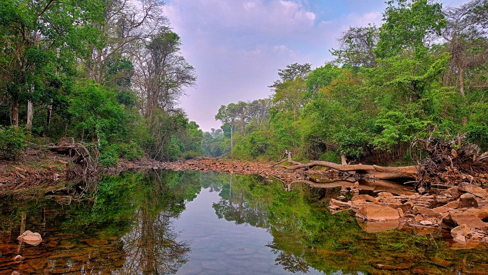 Reflections view kanger river , #nature #photography #love #instagood #photooftheday #travel #sky #beautiful #art #naturephotography #like #landscape #sunset #photo #picoftheday #instagram #sun #beach #life #winter #sea #fun #cute #clouds #happy #naturelovers #summer #bhfyp, #nature #chitrakhotwaterfall #landscape #HD #wallpaper #background #picture #chitrakhot #Bastar #Munn baghelPhotography, 