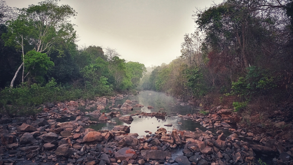 Beautiful morning view of Kundru Nala , #nature #photography #love #instagood #photooftheday #travel #sky #beautiful #art #naturephotography #like #landscape #sunset #photo #picoftheday #instagram #sun #beach #life #winter #sea #fun #cute #clouds #happy #naturelovers #summer #bhfyp, #nature #chitrakhotwaterfall #landscape #HD #wallpaper #background #picture #chitrakhot #Bastar #Munn baghelPhotography, #Nature #background #wallpaper #hdclicks #fullHD#landscape #photooftheday #winter #waterfall#fun #beautiful #fisherman #kangervallynationalpark #naturelovers #nationalpark#@munnabaghel, 