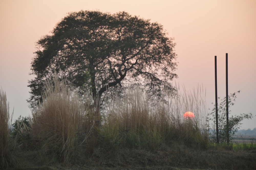 NATURAL  BEAUTY  AT  THE TIME OF SETTING SUN, Sun, Sunset, natural, Nature, Red, colorful, Colorful display, Photography, 