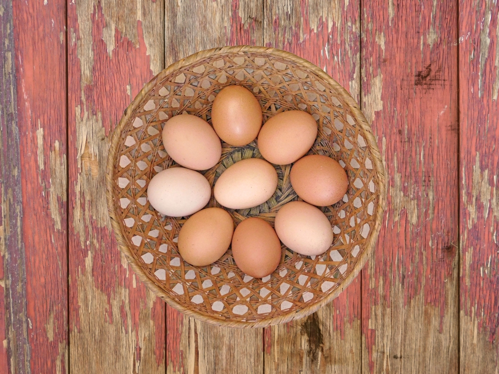 Eggs on wooden background, wooden, healthy, food, nature, poultry, organic, cooking, rustic, chicken, breakfast, shell, brown, farm, hen, easter, eggshell, close-up, natural, bird, egg, fresh, nest, ingredient, brown eggs, life, still life, background, yolk, raw, hay