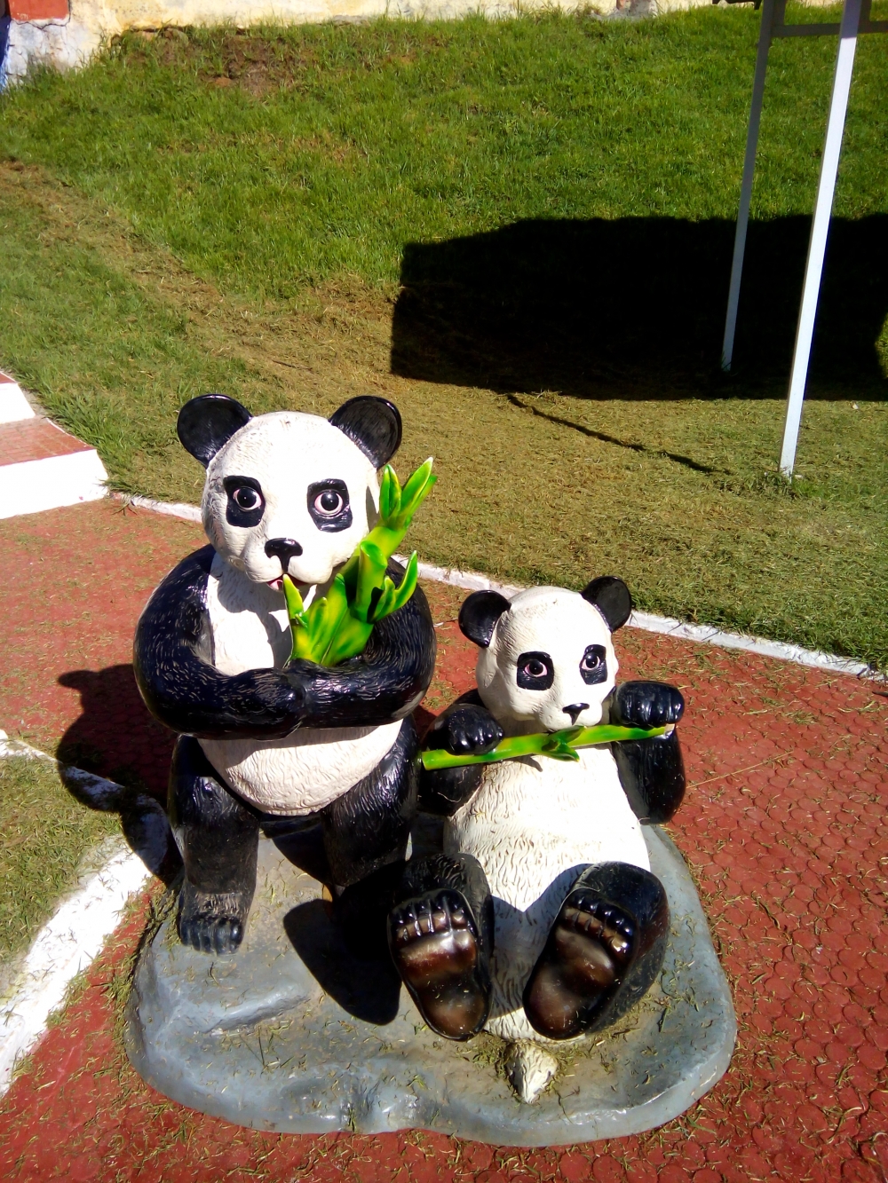 panda startchu, nice one