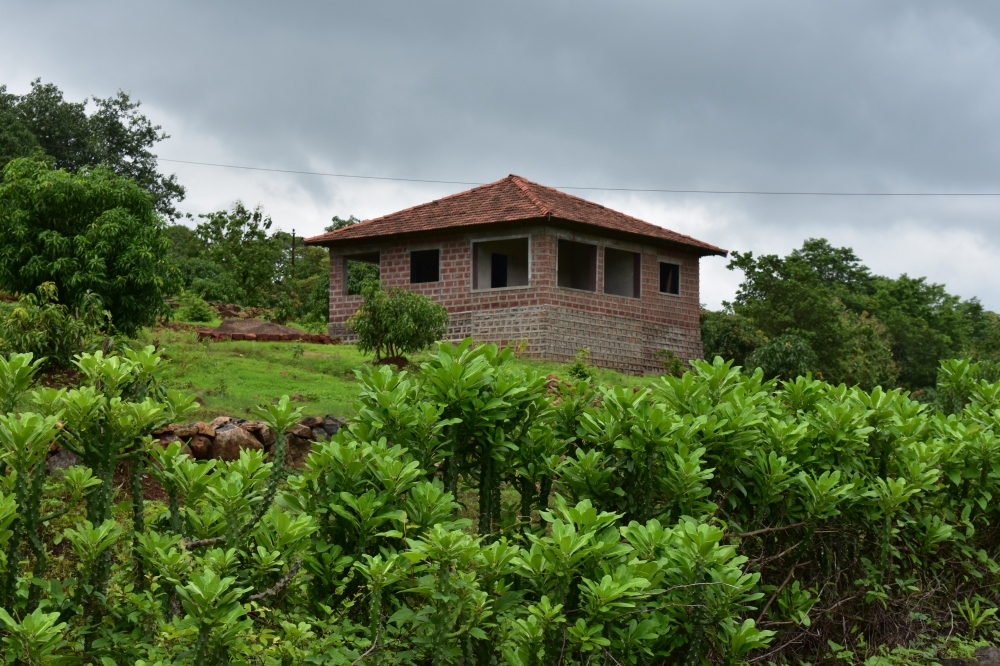 Beautiful House, house,home,greenary,kuda,maharsahtra,trees