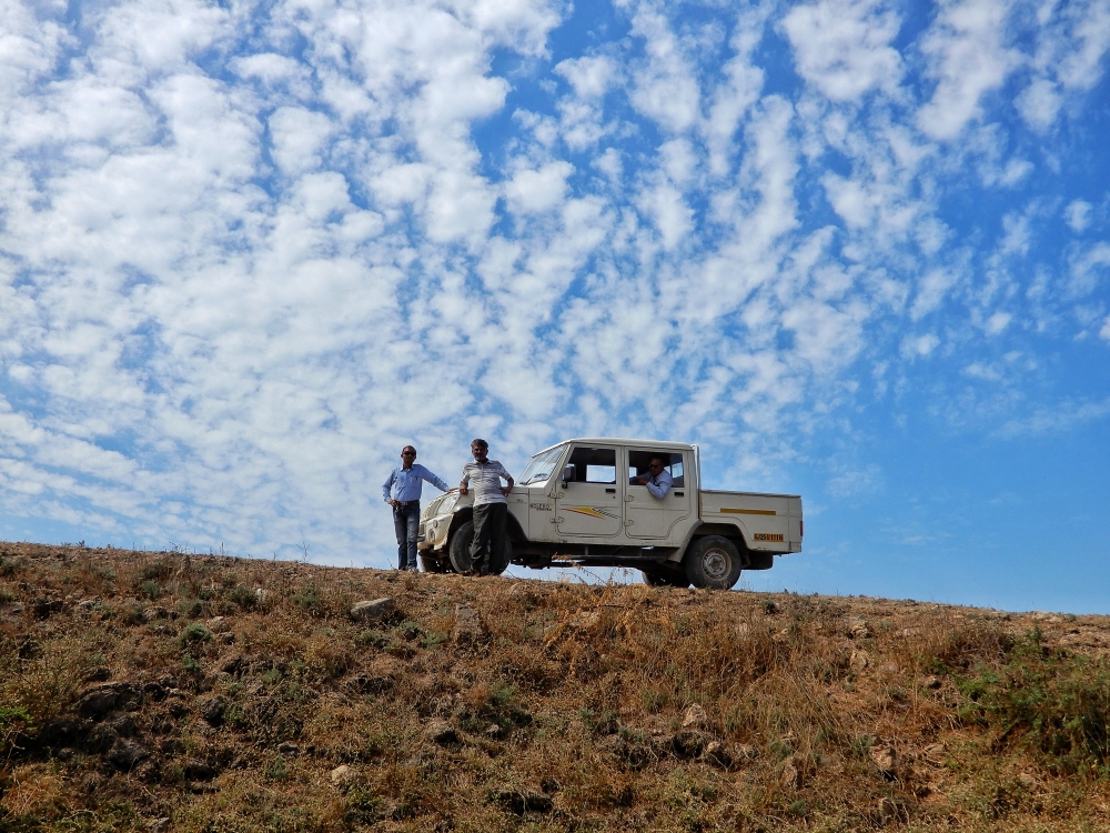 Spring, #nature #photography #love #instagood #photooftheday #travel #sky #beautiful #art #naturephotography #like #landscape #sunset #photo #picoftheday #instagram #sun #beach #life #winter #sea #fun #cute #clouds #happy #naturelovers #summer #bhfyp, 