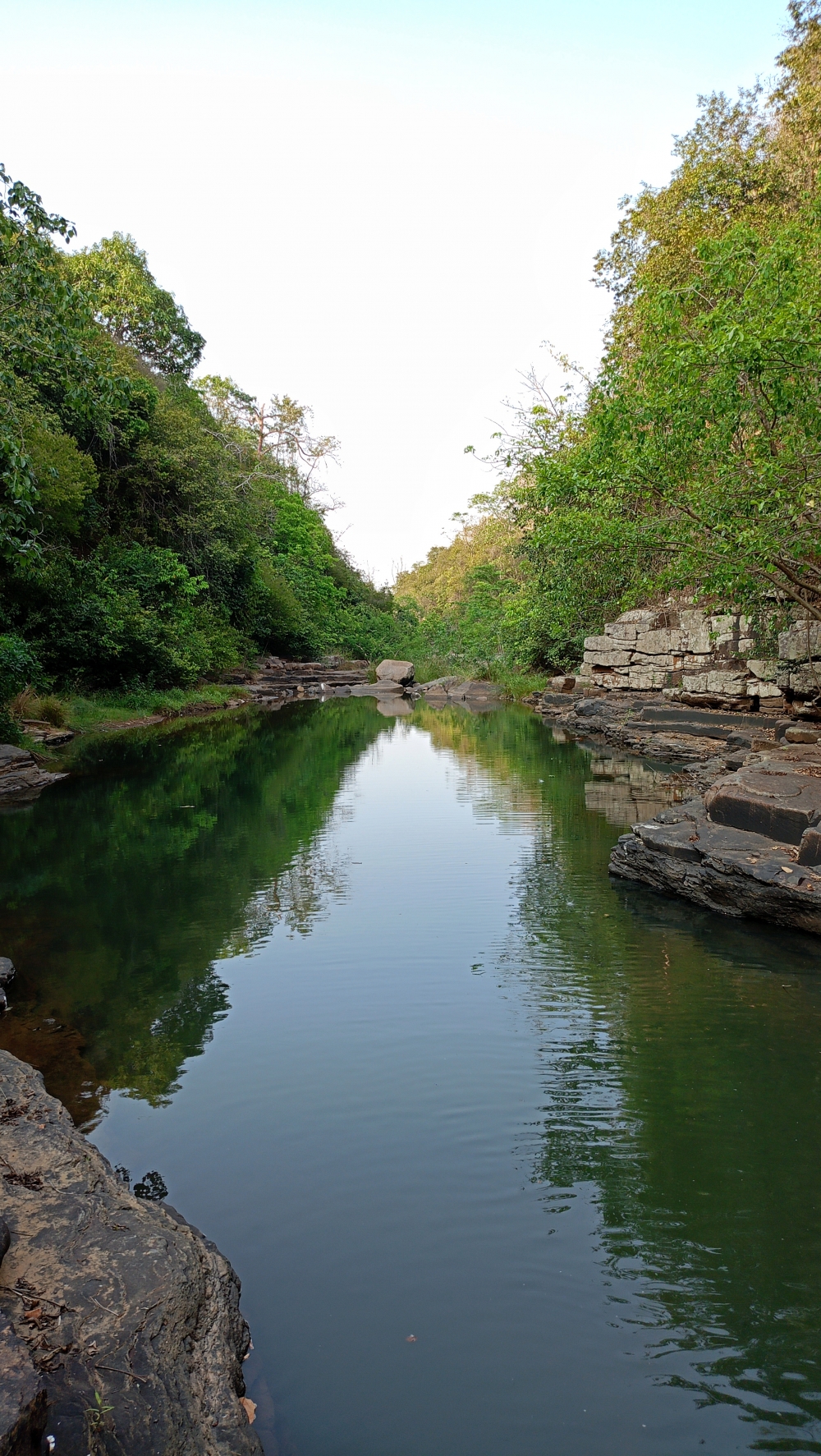 Reflections view , tirathgarh tirathgarhwaterfall waterfall view of the day Wildlife Forest Hills Wildlife bastar jagdalpur Chhattisgarh India Raipur CG Wild flowers hdclicks wallpaper beautiful evening view kangervalleynationalpark kanger dhara waterfall viewofthenature, 