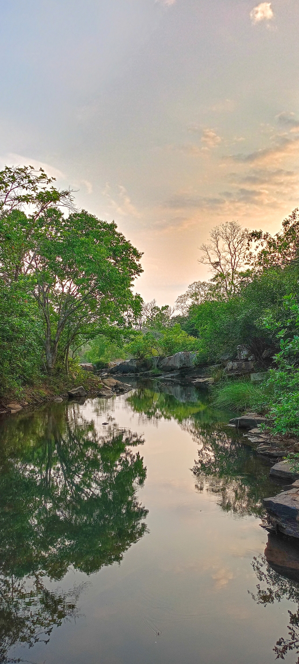 Reflection view of Kundru River , nature landscape background sunrays hdclicks nikongair lake reflection photos Bastar chhatishgarh sky clouds photooftheday naturephotography, wildlife HD wallpaper background picture wild animals Nature Photography tree spoteddave indianbird bastar munnabaghelphotography potooftheday Dave nationalpark kvnp forest jungle kangervalleynationalpark jagdalpur awesome birdphotography photosofbird nature gochhatishgarh chhatishgarh photo, summer tirathgarh waterfall waterfalls indianwaterfall  nationalpark kangervalleynationalpark Raipur CG forest HD wallpaper view kangervalley tirathgarh waterfall waterfalls jungle Bastar Chhattisgarh photosoftheday photo gallery wallpaper view kangervalley instapicture instagood viralpic, #nature #photography #love #instagood #photooftheday #travel #sky #beautiful #art #naturephotography #like #landscape #sunset #photo #picoftheday #instagram #sun #beach #life #winter #sea #fun #cute #clouds #happy #naturelovers #summer #bhfyp, 