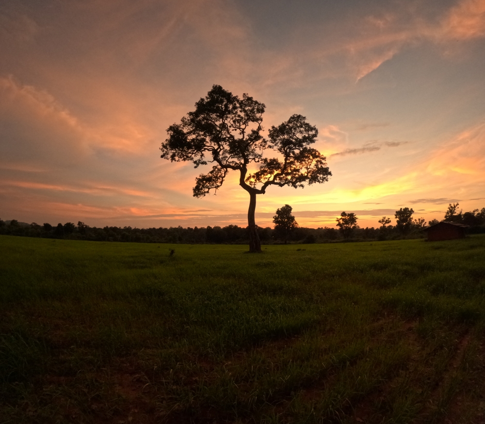 Evening in bastar , #Nature #background #wallpaper #hdclicks #fullHD#fksayyad @f.k.sayyad, 