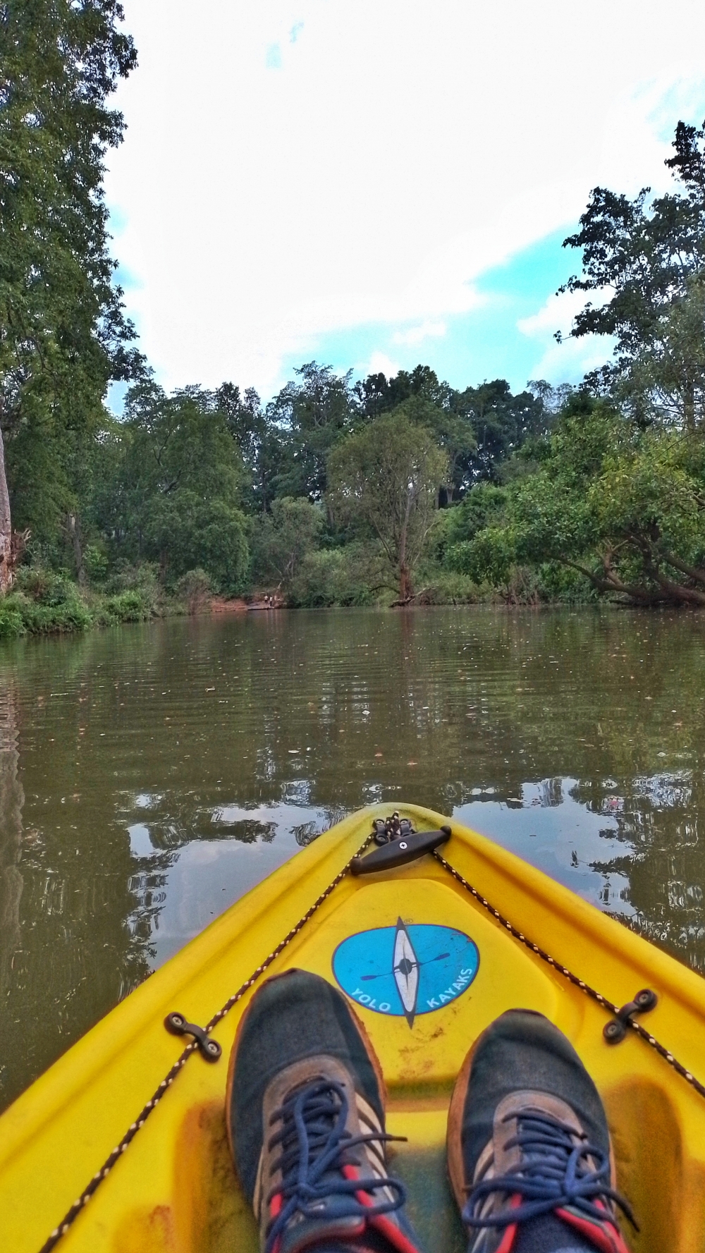 Kayaking in Kanger Valley National Park Bamboo rafting in Kanger Valley National Park is a unique experience that allows visitors to explore the natural beauty of the park while also experiencing the local culture. The Kanger River is a slow-moving river that runs through the park, offering stunning views of the lush green forests, rocky cliffs, and waterfalls. The bamboo rafts are spacious and comfortable, #nature #photography #love #instagood #photooftheday #travel #sky #beautiful #art #naturephotography #like #landscape #sunset #photo #picoftheday #instagram #sun #beach #life #winter #sea #fun #cute #clouds #happy #naturelovers #summer 