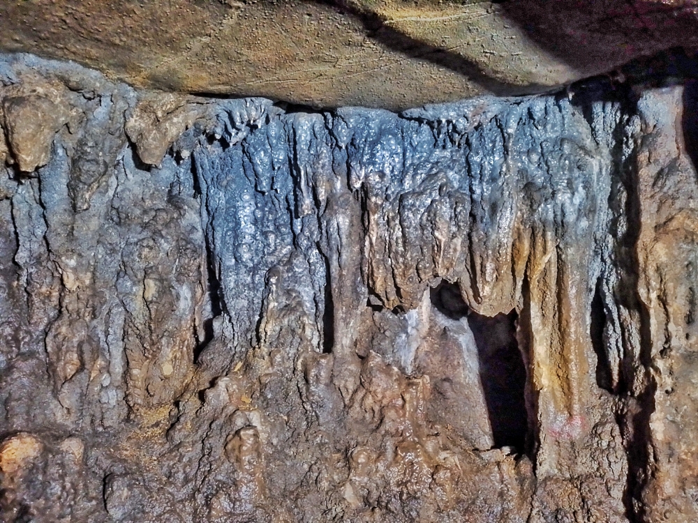 यह गुफा छत्तीसगढ़ के बस्तर जिला में कांकेर घाटी राष्ट्रीय उद्यान में स्थित है । यह भारत की सबसे गहरी गुफा मानी जाती है जो 60 - 120 फिट गहरी है तथा इसकी लम्बाई 4500 फिट है, #nature #photography #love #instagood #photooftheday #travel #sky #beautiful #art #naturephotography #like #landscape #sunset #photo #picoftheday #instagram #sun #beach #life #winter #sea #fun #cute #clouds #happy #naturelovers #summer  bastar, jagdalpur, Chhattisgarh, India, Raipur, CG, Forest, Hills, Wildlife, Forest, Park, jagdalpur, Chhattisgarh, India, caves, Cave, kotamsarCave, national Park, kangervalleynationalpark 