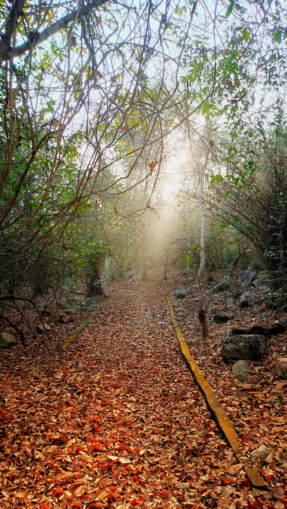 Beautiful morning view of the kangervalley national Park , #nature #photography #love #instagood #photooftheday #travel #sky #beautiful #art #naturephotography #like #landscape #sunset #photo #picoftheday #instagram #sun #beach #life #winter #sea #fun #cute #clouds #happy #naturelovers #summer #bhfyp, #nature #chitrakhotwaterfall #landscape #HD #wallpaper #background #picture #chitrakhot #Bastar #Munn baghelPhotography, #Nature #background #wallpaper #hdclicks #fullHD#landscape #photooftheday #winter #waterfall#fun #beautiful #fisherman #kangervallynationalpark #naturelovers #nationalpark#@munnabaghel, 