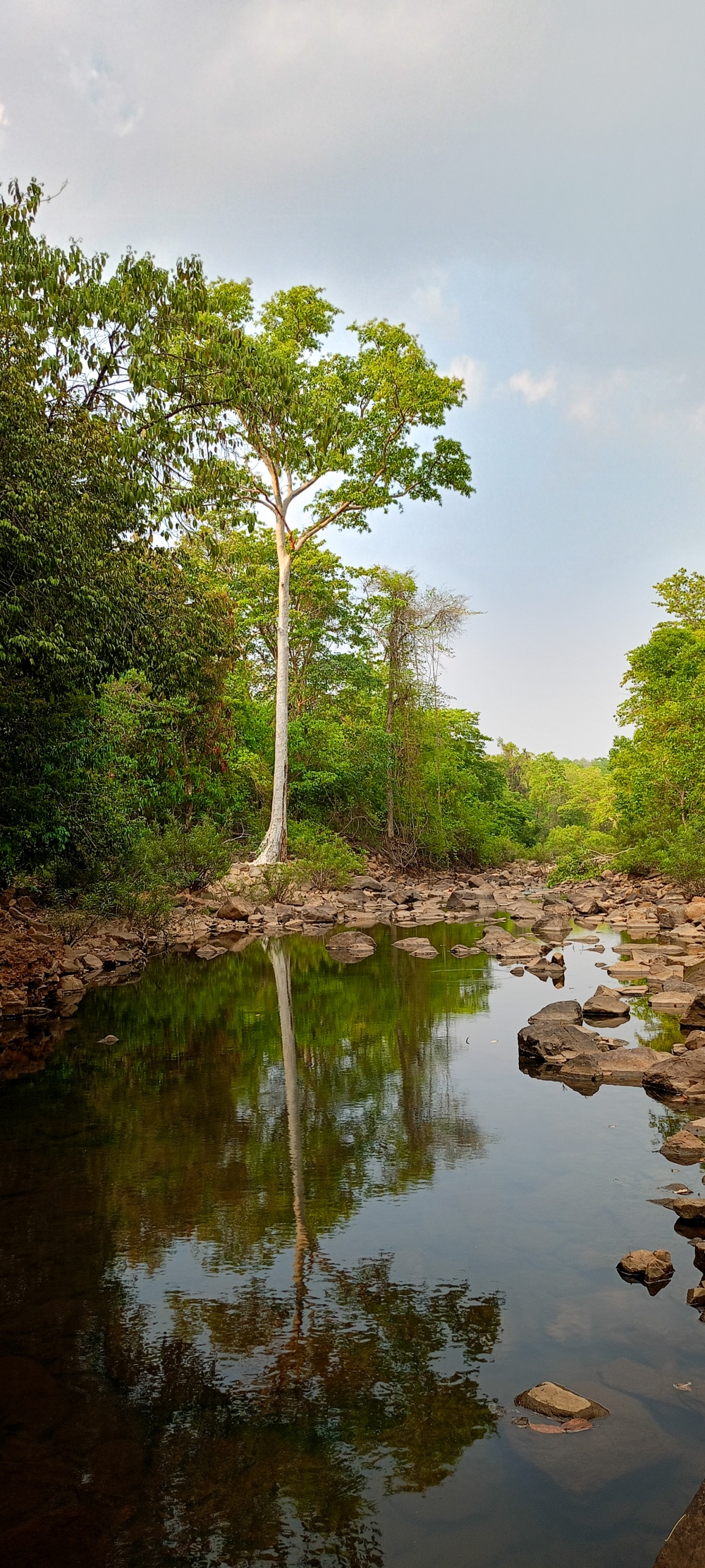 Reflections view , #wedding #moda  #photographer  #hair  #foodie  #inspiration  #funny  #instafood  #memes  #baby  #naturephotography  #l4l  #nails  #f4f  #likeforfollow #workout  #followforfollow  #illustration  #home  #instapic  #yummy  #vsco  #bestoftheday  #landscape  #catsofinstagram  #vscocam  #puppy  #fit  #party  #tagsforlikes  #girls  #tattoo  #healthy  #instafashion  #blackandwhite  #architecture  #love #instagood  #fashion #instagram  #photooftheday  #art  #photography  #beautiful #nature  #picoftheday  #travel  #happy  #cute  #instadaily  #style  #tbt  #repost  #followme #summer  #reels  #like4like  #beauty  #fitness  #food  #instalike #explore  #photo  #me  #selfie  #music  #viral  #friends #life #smile  #family #bastar #jagdalpur #Chhattisgarh #Gallery #Wildlife #Forest #Hills #beach #river #kanger dhara waterfall #viewofthenature #chitrakot #waterfall #Raipur #caves #Cave #kotamsarCave #India #tirathgarh