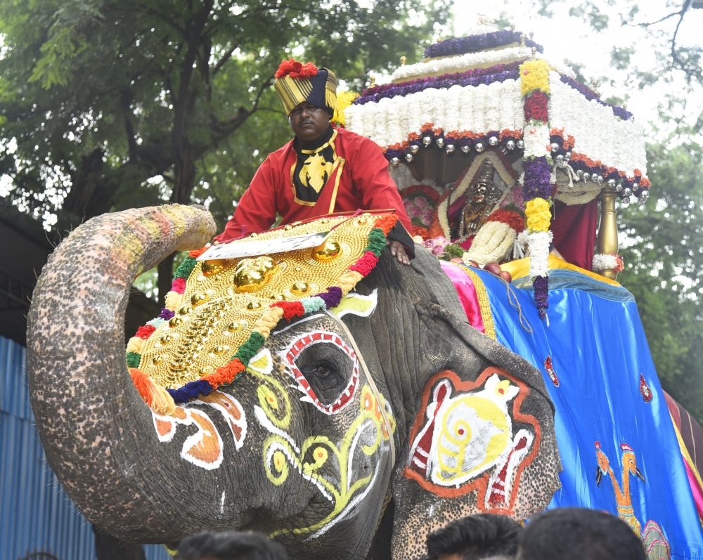 ಎಲೆಪ಻ಹನತ, ೊ