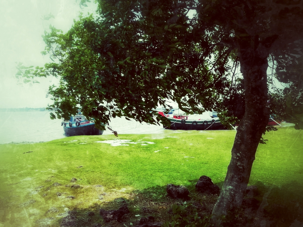 River side scene, Nature, landscape, grassland, river bank, boat, 
