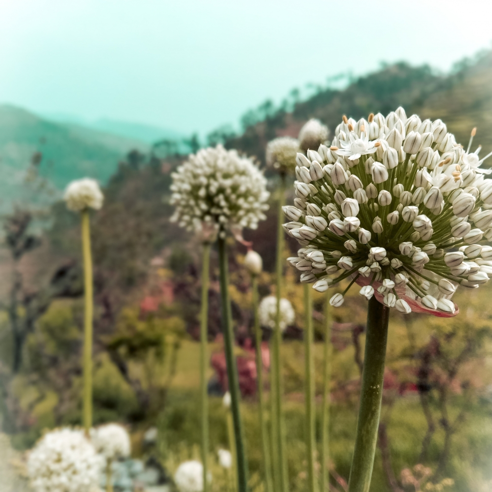 Nature, #yuv!!