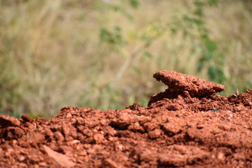 Soil, soil, ground, mud, land, natural, red, earth, agriculture, gardening, india, south