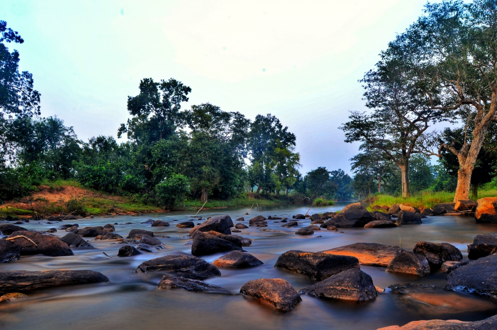 Kanger river kangervalleynationalpark jagdalpur , #bastar #TravelPhotography #PicOfTheDay #ExploreNature #NaturePhotography #TravelBlogger #beautiful #landscape #adventure #explore #instatravel #photo #trip #summer #travelgram #photography #art #travel #wanderlust #nature #instagood#love #instagood #photooftheday #fashion #trending #explorepage #viral #tbt #like4like #followme #picoftheday #follow #me #selfie #summer #art #instadaily #friends #repost #nature #trendingnow #fun #style #smile #food #instalike #likeforlike #family #travel #fitness #worldcup #tagsforlikes #viralpost #nofilter #life #beauty #amazing #instamood #igers #instagram #photo #music #photography #makeup #beach #sunset #model #foodporn #motivation #followforfollow #sky #lifestyle #design #gym #f4f #toofunny #cat #handmade #hair #vscocam #bestoftheday #vsco #funny #dogsofinstagram #drawing  #artist  #f4fl #flowers #baby  #wedding #memes #instapic #pretty #photographer  #instafood #party #inspiration #lol  #cool #workout #motivation #swag #fit #healthy #yummy #blackandwhite  #foodie #insta #home  #black #winter #sea #landscape #blue #holiday#rivar #kangervalleynationalpark #kangervalley #bastar #chhatishgarh #raipur #jagdalpur #forest #wildlife #kangerrivar #tirathgarh #waterfall #tirathgarhwaterfall 