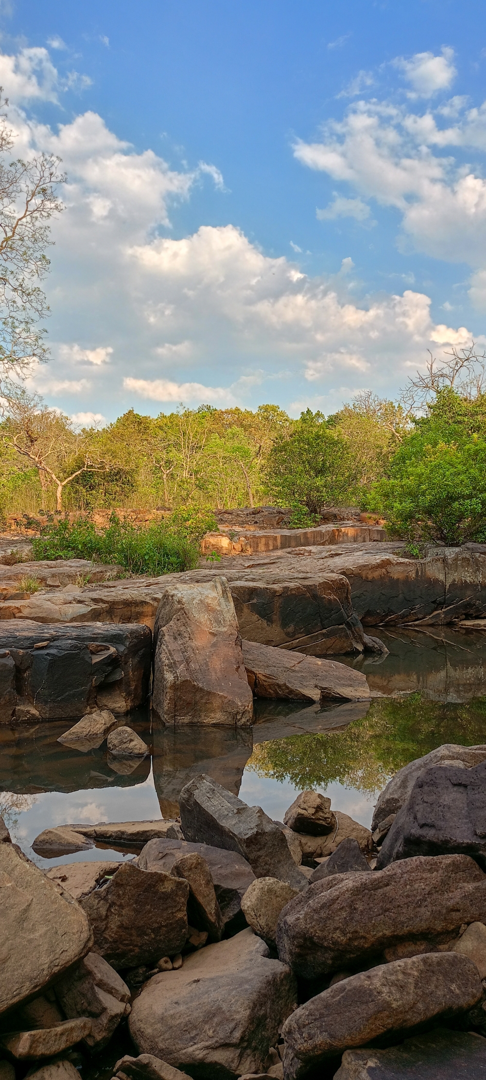 National Park Forest , nature landscape background sunrays hdclicks nikongair lake reflection photos Bastar chhatishgarh sky clouds photooftheday naturephotography, wildlife HD wallpaper background picture wild animals Nature Photography tree spoteddave indianbird bastar munnabaghelphotography potooftheday Dave nationalpark kvnp forest jungle kangervalleynationalpark jagdalpur awesome birdphotography photosofbird nature gochhatishgarh chhatishgarh photo, summer tirathgarhwaterfall tirathgarh waterfall waterfalls indianwaterfall nationalpark kangervalleynationalpark Raipur Chhattisgarh photosoftheday photo gallery wallpaper view kangervalley instapicture instagood viralpic forest HD quality image Bastardistrict photography, #nature #photography #love #instagood #photooftheday #travel #sky #beautiful #art #naturephotography #like #landscape #sunset #photo #picoftheday #instagram #sun #beach #life #winter #sea #fun #cute #clouds #happy #naturelovers #summer #bhfyp, 