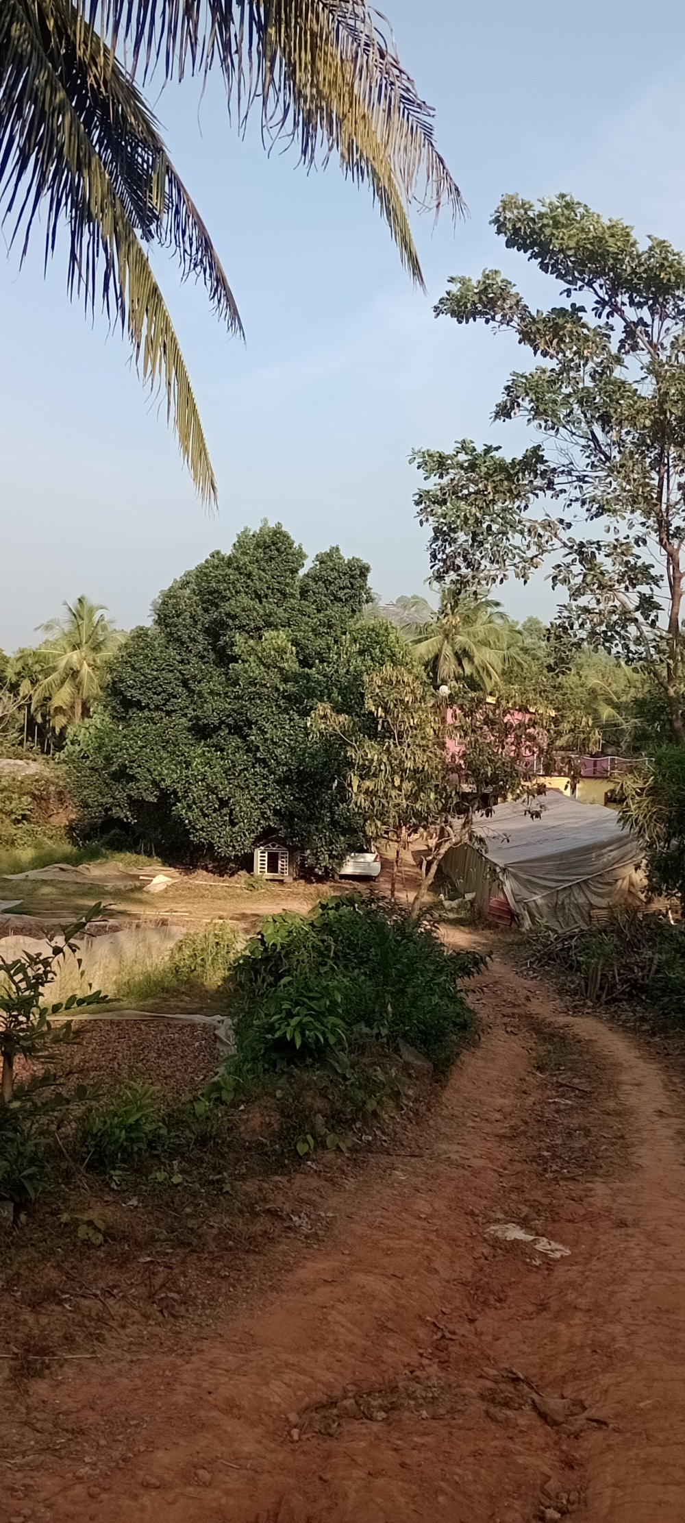 Our farm , Natural beauty.