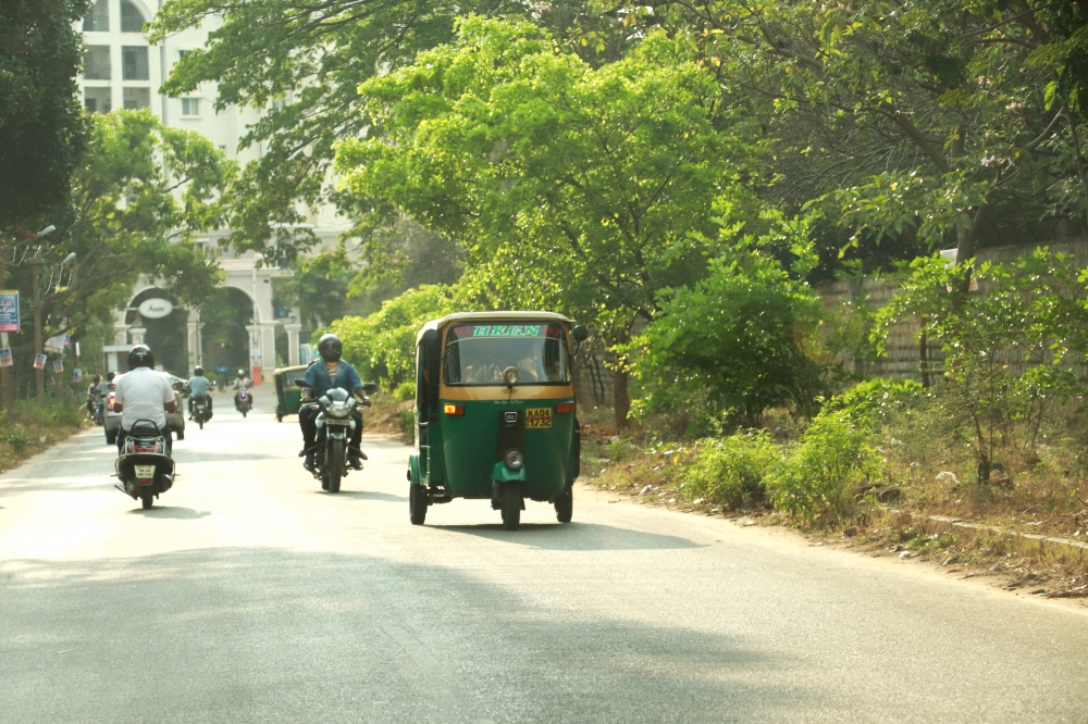 Greenery in Bengaluru, Auto, trees, greens, beautiful, soothing