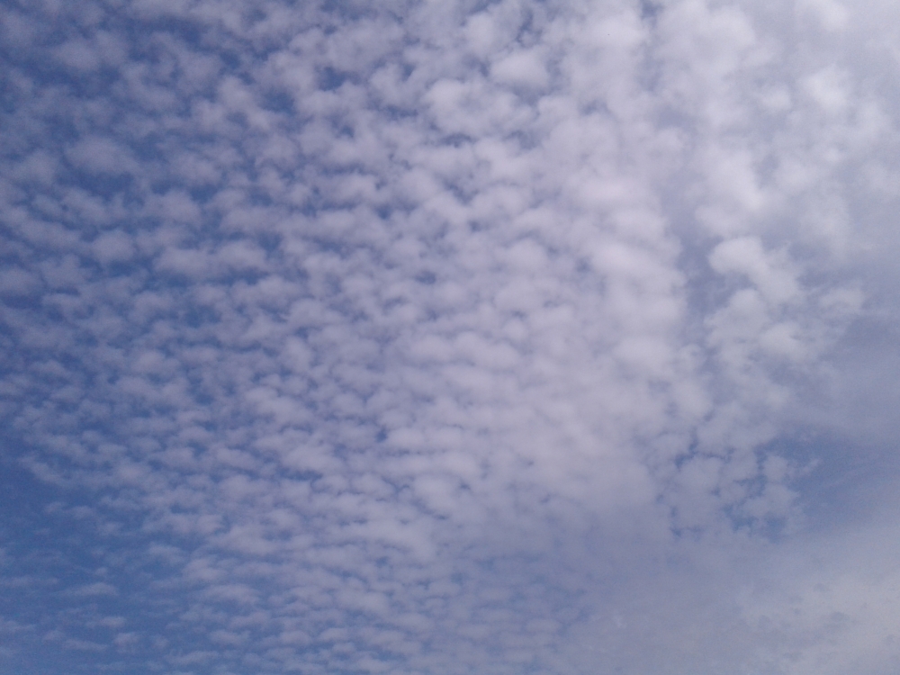 Osm pic, @photography 