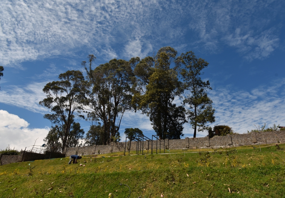 Landscape, Landscape, Nature, 