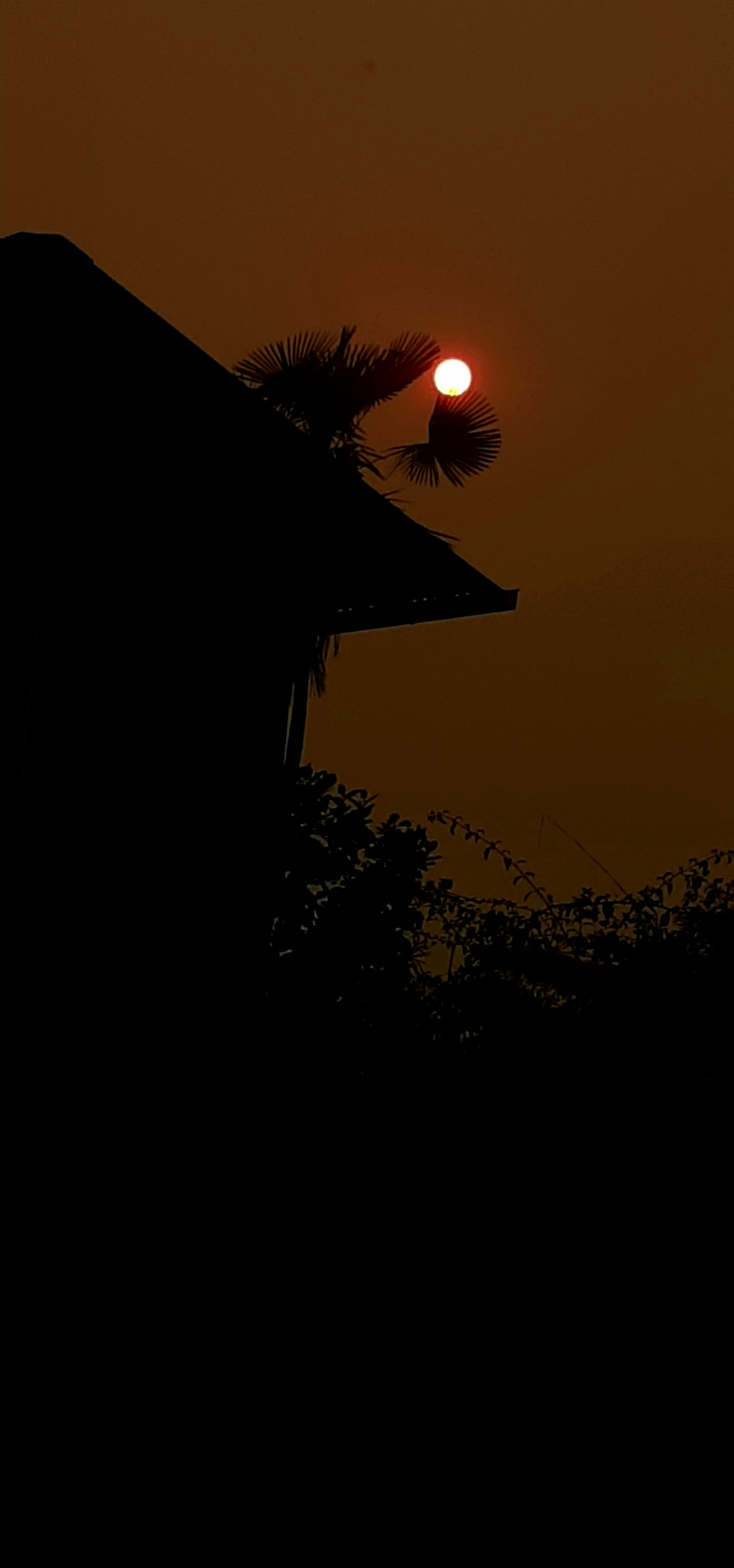 Sun set , #nature #photography #love #instagood #photooftheday #travel #sky #beautiful #art #naturephotography #like #landscape #sunset #photo #picoftheday #instagram #sun #beach #life #winter #sea #fun #cute #clouds #happy #naturelovers #summer #bhfyp, 