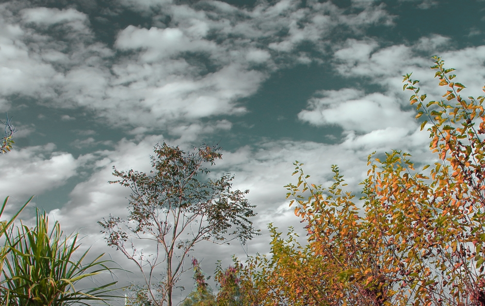 beautiful sky, nature, wild, sky, blue, cloud, white, 