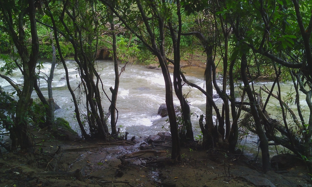 image of river flow in kerala, natural landscape  , Nature, Landscape, Rive, waterfall, rays, hd clicks, nature lovers, national park , water flows in a river, water flows, River flowing between two mountains is very beautiful, 