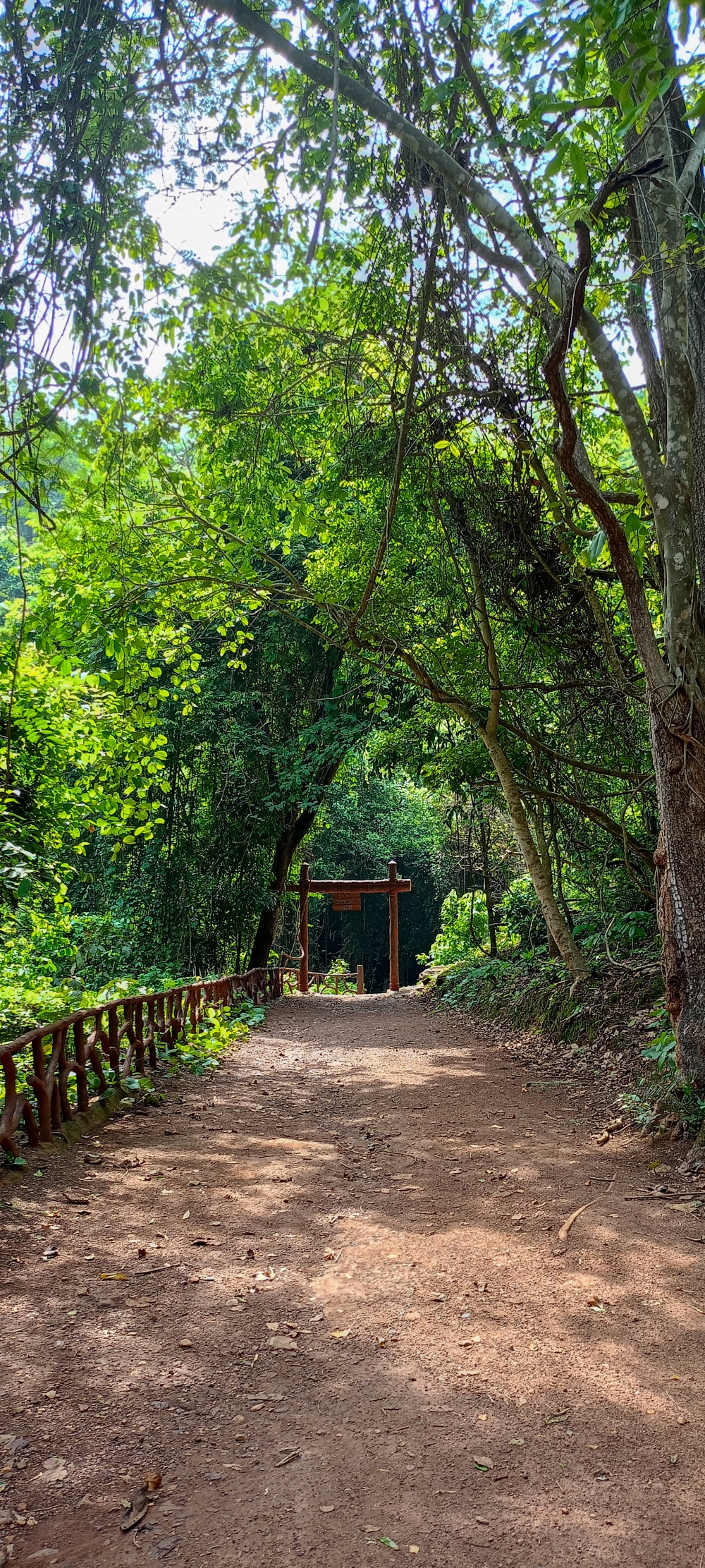 Nature view , #nature #photography #love #instagood #photooftheday #travel #sky #beautiful #art #naturephotography #like #landscape #sunset #photo #picoftheday #instagram #sun #beach #life #winter #sea #fun #cute #clouds #happy #naturelovers #summer #bhfyp, 