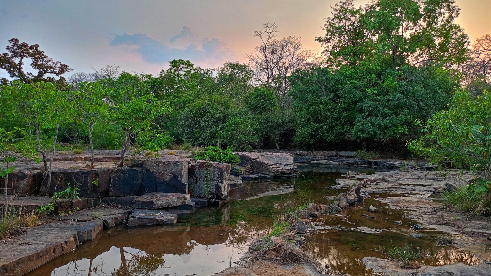 Kundaru river kangervalleynationalpark jagdalpur , #nature #photography #love #instagood #photooftheday #travel #sky #beautiful #art #naturephotography #like #landscape #sunset #photo #picoftheday #instagram #sun #beach #life #winter #sea #fun #cute #clouds #happy #naturelovers #summer #bhfyp, wildlife HD wallpaper background picture wild animals Nature Photography tree spoteddave indianbird bastar munnabaghelphotography potooftheday Dave nationalpark kvnp forest jungle kangervalleynationalpark jagdalpur awesome birdphotography photosofbird nature gochhatishgarh chhatishgarh photo, nature landscape background sunrays hdclicks nikongair lake reflection photos Bastar chhatishgarh sky clouds photooftheday naturephotography, summer tirathgarh waterfall waterfalls indianwaterfall  nationalpark kangervalleynationalpark Raipur CG forest HD wallpaper view kangervalley tirathgarh waterfall waterfalls jungle Bastar Chhattisgarh photosoftheday photo gallery wallpaper view kangervalley instapicture instagood viralpic, 