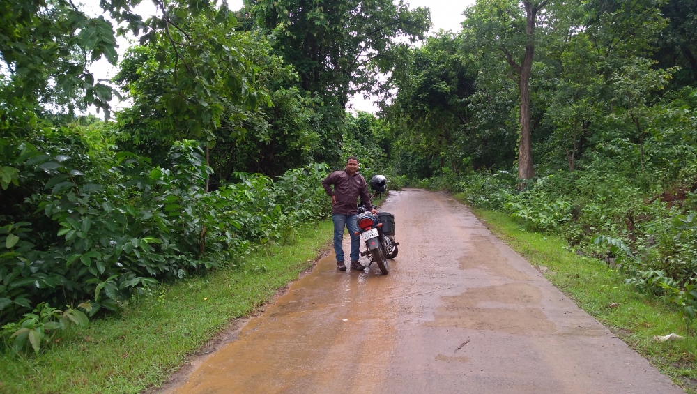 road trip, tour, Bike, forest, 