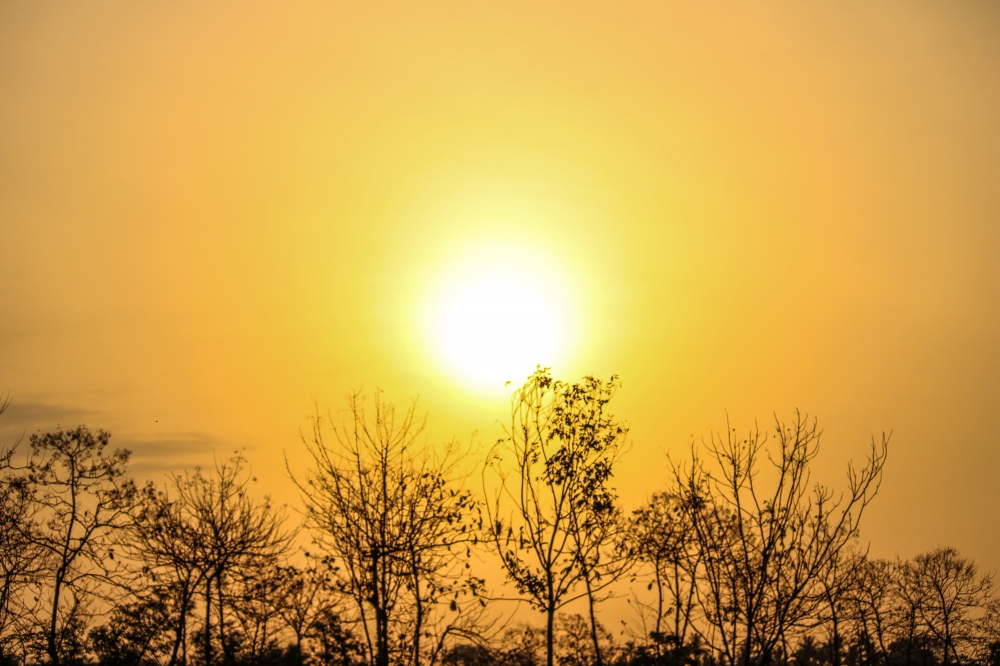 Sunrise, Sunrise, 