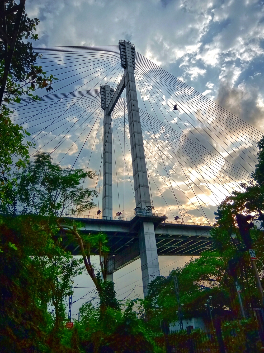 Beauty of evening nature, landscape