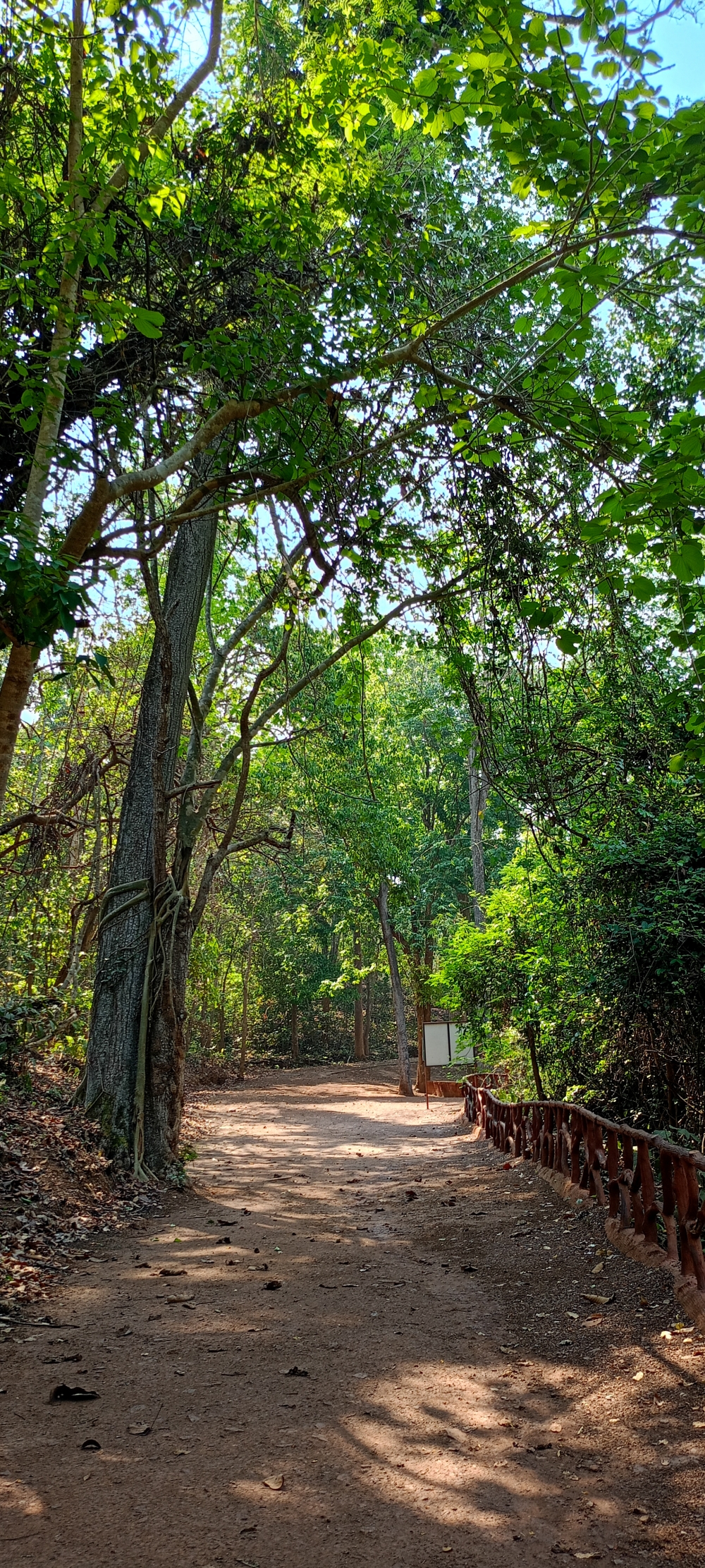 Nature view  kangervalleynationalpark , nature landscape background hdclicks fishing wallpaper people stock Fisherman photos photooftheday Bastar kangervalleynationalpark kvnp nationalpark naturephotography Munnabaghel_photography, morningrays nature forest jungle munnabaghelphotography kvnp nationalpark bastar kangervalleynationalpark jagdalpur explore landscape gochhatishgarh bastarpicture photooftheday tree green wild Hill, summer tirathgarh waterfall waterfalls indianwaterfall  nationalpark kangervalleynationalpark Raipur CG forest HD wallpaper view kangervalley tirathgarh waterfall waterfalls jungle Bastar Chhattisgarh photosoftheday photo gallery wallpaper view kangervalley instapicture instagood viralpic, #nature #photography #love #instagood #photooftheday #travel #sky #beautiful #art #naturephotography #like #landscape #sunset #photo #picoftheday #instagram #sun #beach #life #winter #sea #fun #cute #clouds #happy #naturelovers #summer #bhfyp, 