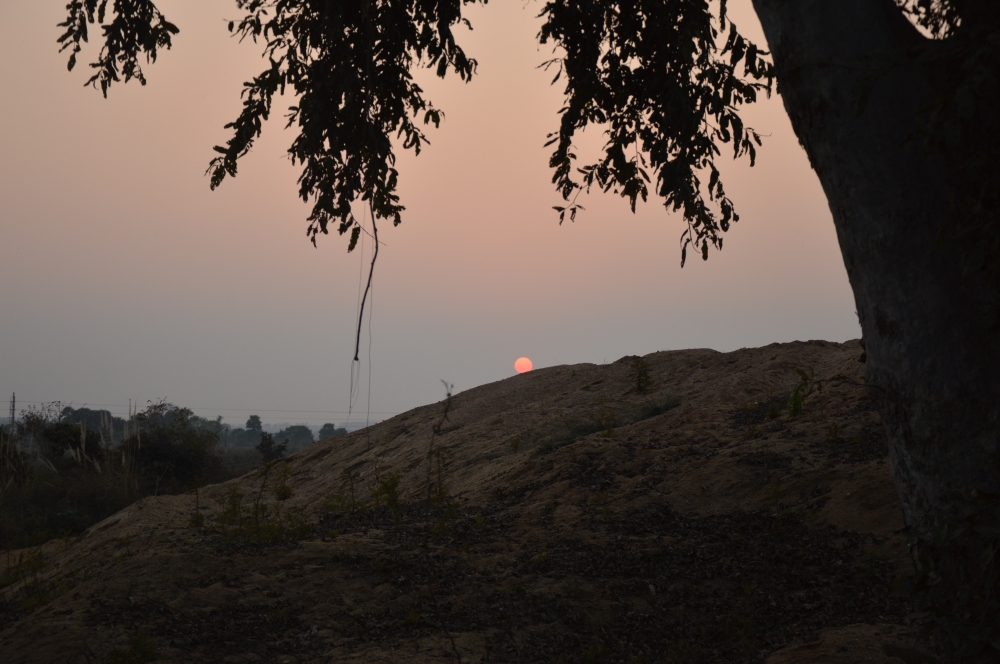 THE SETTING SUN CREATES BEAUTY, Sun, Sunset, Trees, Sand, Red, WEST , Afternoon, dusk, round, tourist destination, 