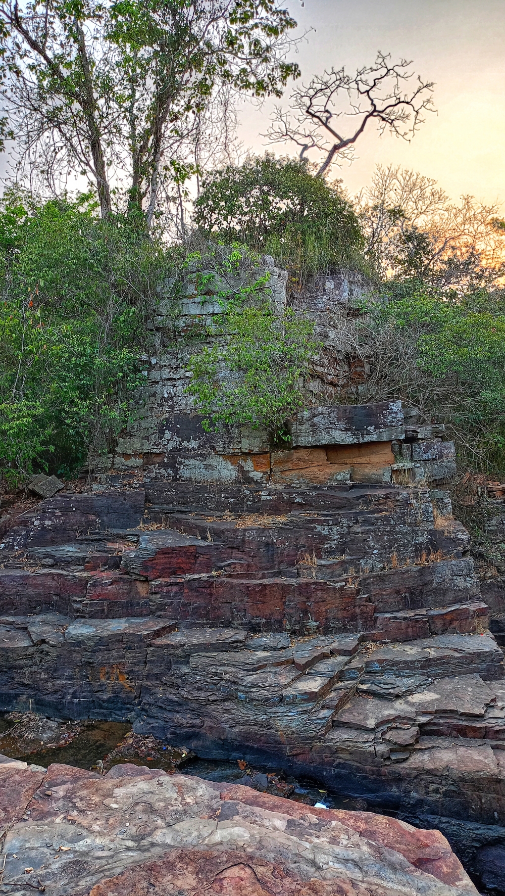 rock , wildlife HD wallpaper background picture wild animals Nature Photography tree spoteddave indianbird bastar munnabaghelphotography potooftheday Dave nationalpark kvnp forest jungle kangervalleynationalpark jagdalpur awesome birdphotography photosofbird nature gochhatishgarh chhatishgarh photo,  Rock 