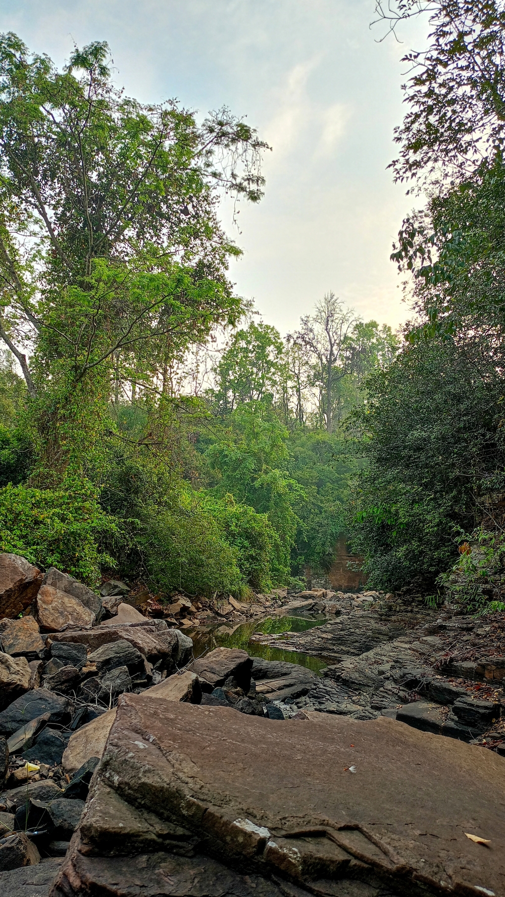 Kundaru river kangervalleynationalpark jagdalpur , nature landscape background sunrays hdclicks nikongair lake reflection photos Bastar chhatishgarh sky clouds photooftheday naturephotography, wildlife HD wallpaper background picture wild animals Nature Photography tree spoteddave indianbird bastar munnabaghelphotography potooftheday Dave nationalpark kvnp forest jungle kangervalleynationalpark jagdalpur awesome birdphotography photosofbird nature gochhatishgarh chhatishgarh photo, summer tirathgarh waterfall waterfalls indianwaterfall  nationalpark kangervalleynationalpark Raipur CG forest HD wallpaper view kangervalley tirathgarh waterfall waterfalls jungle Bastar Chhattisgarh photosoftheday photo gallery wallpaper view kangervalley instapicture instagood viralpic, #nature #photography #love #instagood #photooftheday #travel #sky #beautiful #art #naturephotography #like #landscape #sunset #photo #picoftheday #instagram #sun #beach #life #winter #sea #fun #cute #clouds #happy #naturelovers #summer #bhfyp, 