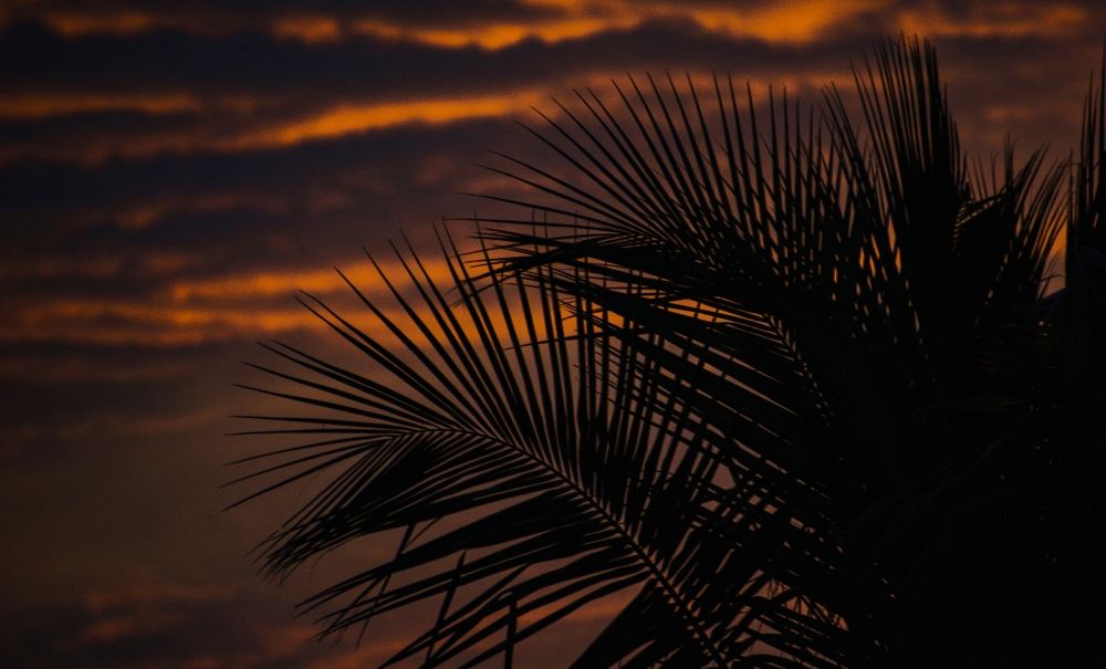 Sunset Sky, #nature #photography #love #instagood #photooftheday #travel #sky #beautiful #art #naturephotography #like #landscape #sunset #photo #picoftheday #instagram #sun #beach #life #winter #sea #fun #cute #clouds #happy #naturelovers #summer #bhfyp, #insect #photography #nikon, 